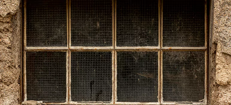 Traditional Double Front Doors in Daytona Beach, FL