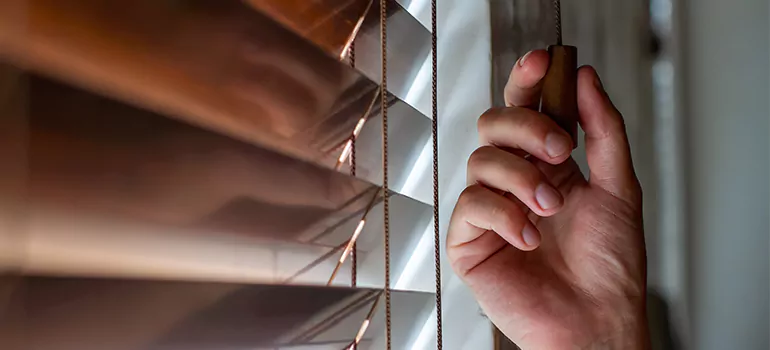 Double Roller Blinds in Daytona Beach, FL