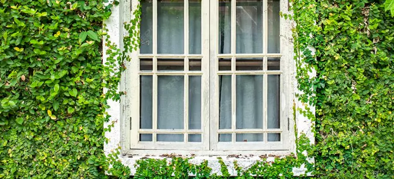 Garden Window Repair Near Me in Daytona Beach, FL