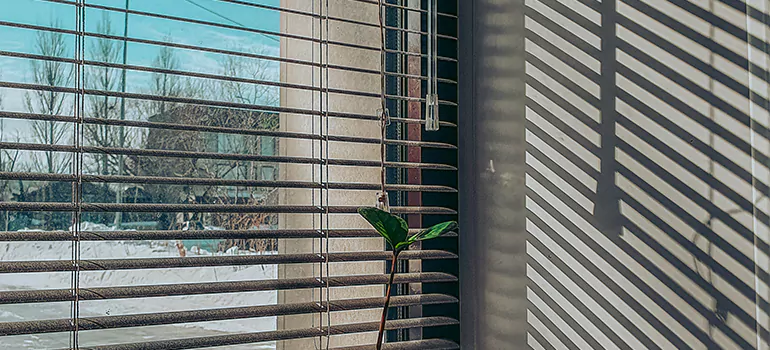 Commercial Window Blinds in Daytona Beach, FL