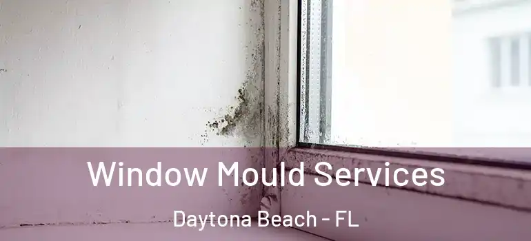 Window Mould Services Daytona Beach - FL